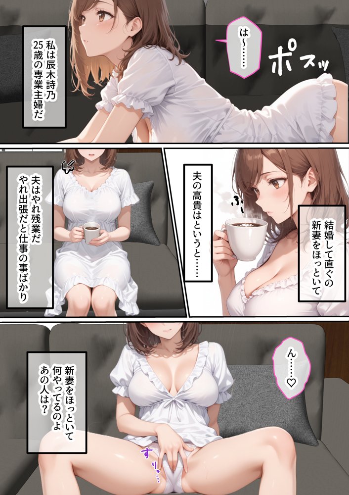 ただ空き巣に入っただけのはずが欲求不満な人妻を堕とすことになった話〜盗んだのは物ではなく躰でした〜
